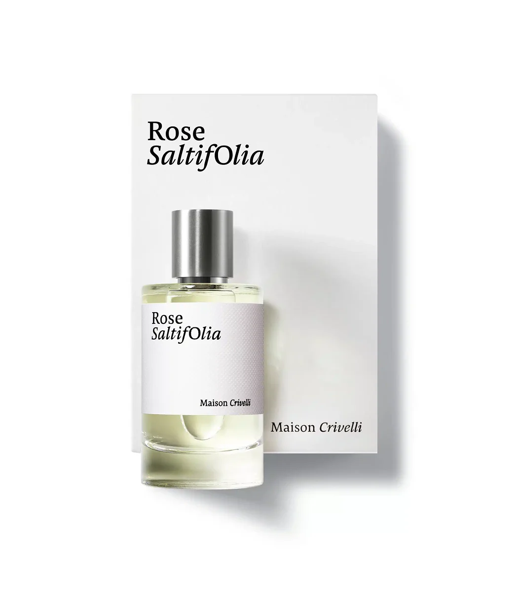 Rose Saltifolia